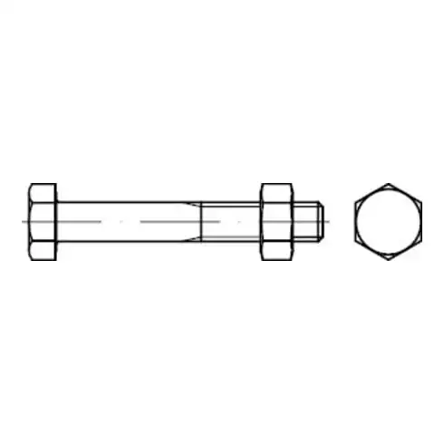 Bauschrauben avec écrou, galvanisé M16x170 HP avec CE