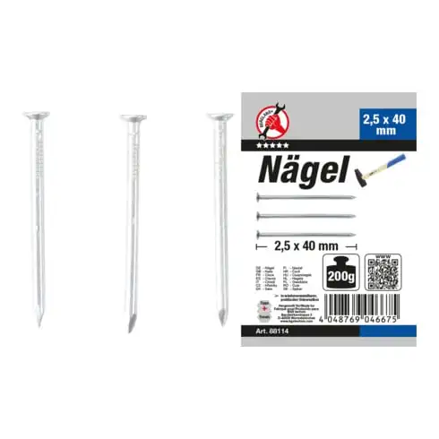 BGS Assortiment de clous 200 g 2,5 x 40 mm