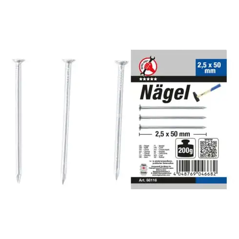 BGS Assortiment de clous 200 g 2,5 x 50 mm