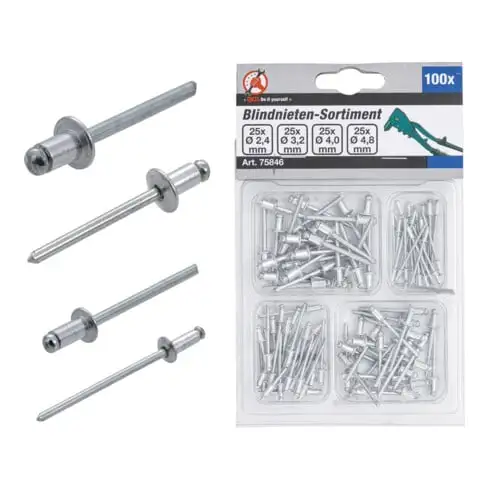BGS Assortiment de rivets pop Ø 2,4 - 4,8 mm 100 pièces