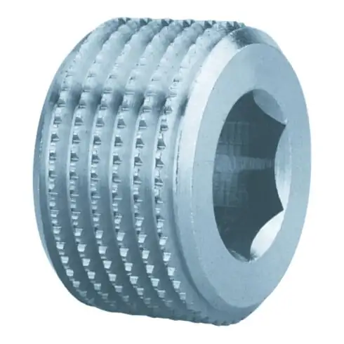 Bouchon à vis Schneider VSS-ST-I-R3/4a