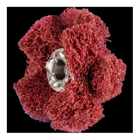 Polinox T 25-2 A 280 Étoiles à poncer pour chevaux