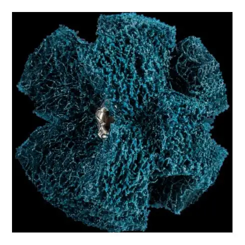 Polinox T 38-3 A 100 Étoiles à poncer pour chevaux