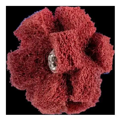 Polinox T 38-3 A 280 Étoiles à poncer pour chevaux