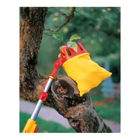 WOLF-Garten multi-star® Cueilleur de fruits RG-M
